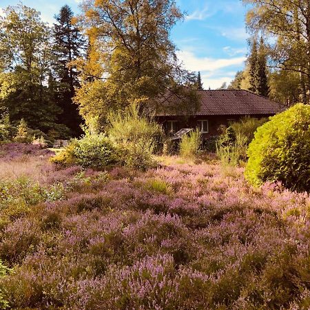 Landhaus mitten in der Lüneburger Heide Undeloh Exterior foto