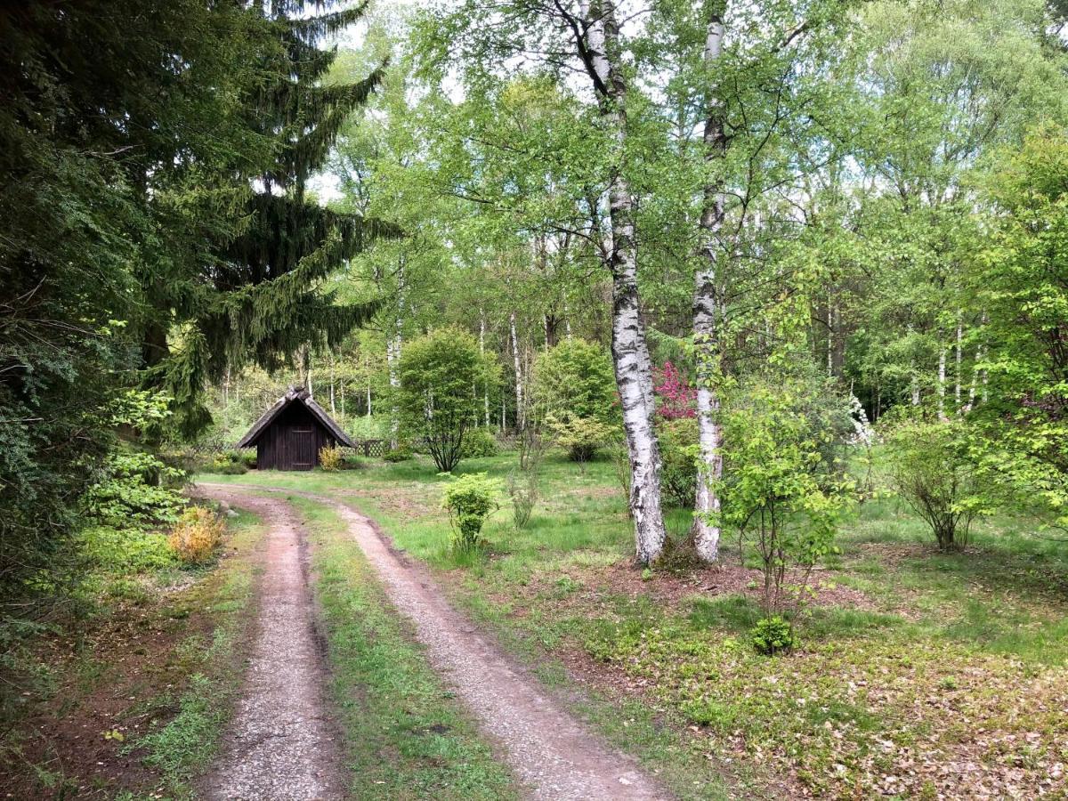 Landhaus mitten in der Lüneburger Heide Undeloh Exterior foto