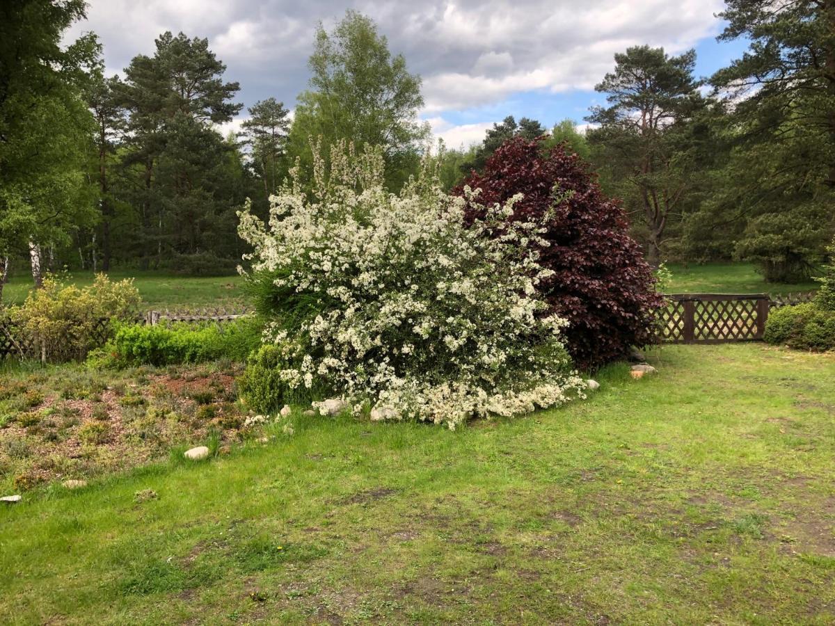 Landhaus mitten in der Lüneburger Heide Undeloh Exterior foto