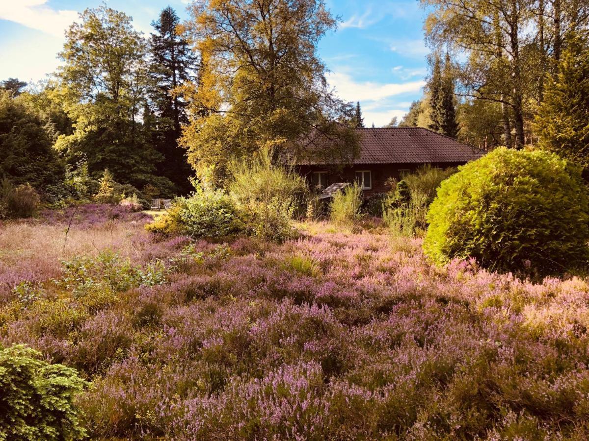 Landhaus mitten in der Lüneburger Heide Undeloh Exterior foto