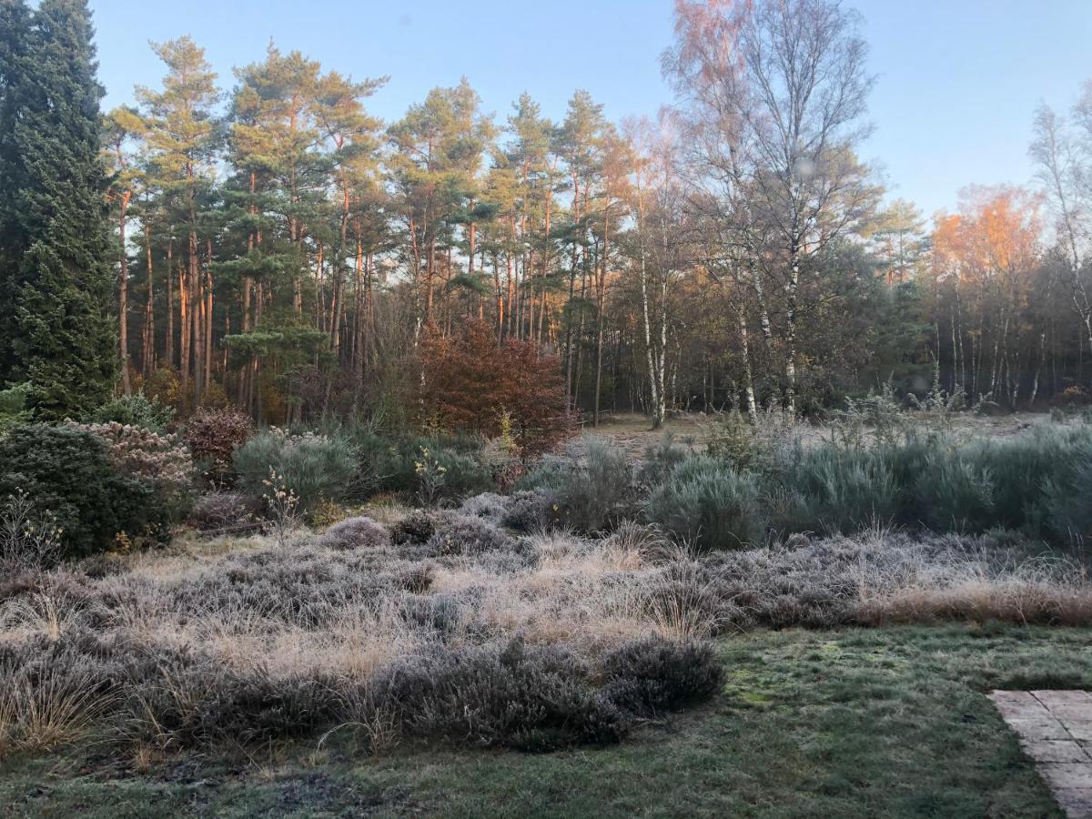 Landhaus mitten in der Lüneburger Heide Undeloh Exterior foto