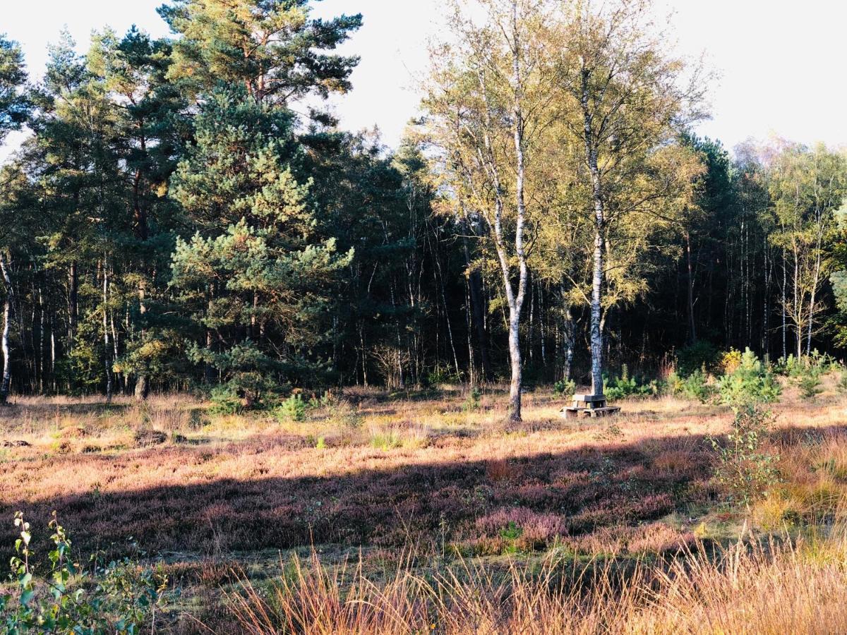 Landhaus mitten in der Lüneburger Heide Undeloh Exterior foto